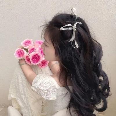 盖尔芒特家情事